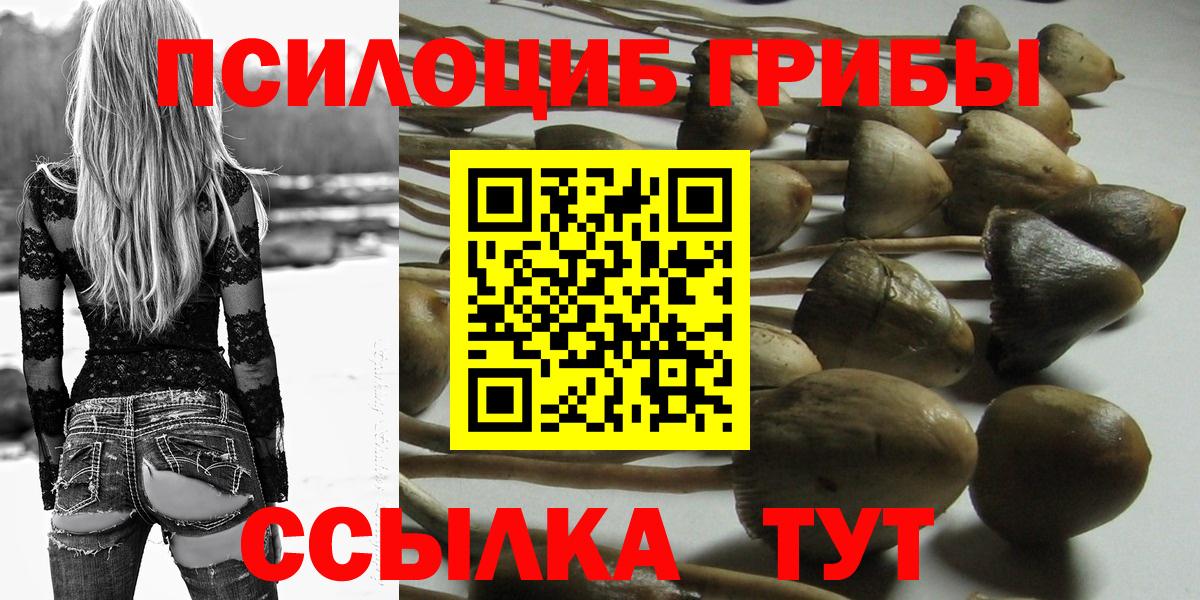 Псилоцибиновые грибы мухоморы Арзамас